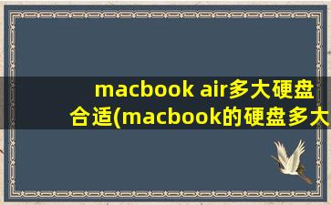 macbook air多大硬盘合适(macbook的硬盘多大)